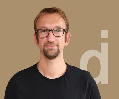 Project manager for the management of complex projects and programs