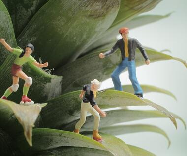 Agile project management in marketing: The picture shows figures climbing on a plant.