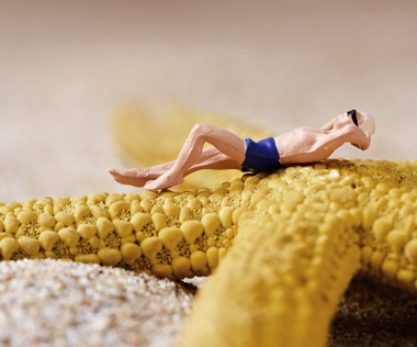 Umgang mit Low Performern: Das Bild zeigt eine Figur, die auf einem Seestern ein Sonnenbad nimmt.