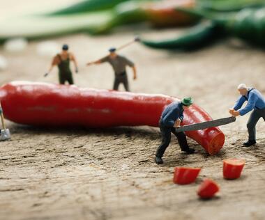 Creating security of supply in supply chains: The picture shows figures sawing up a chili.