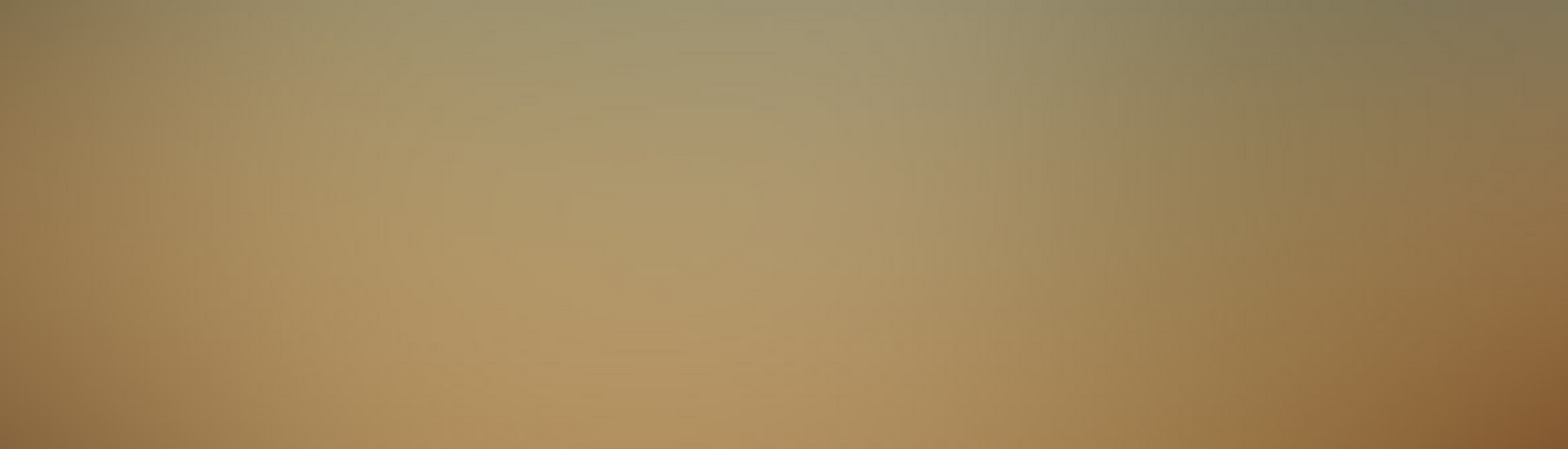 Blog posts from Deutsche Interim AG