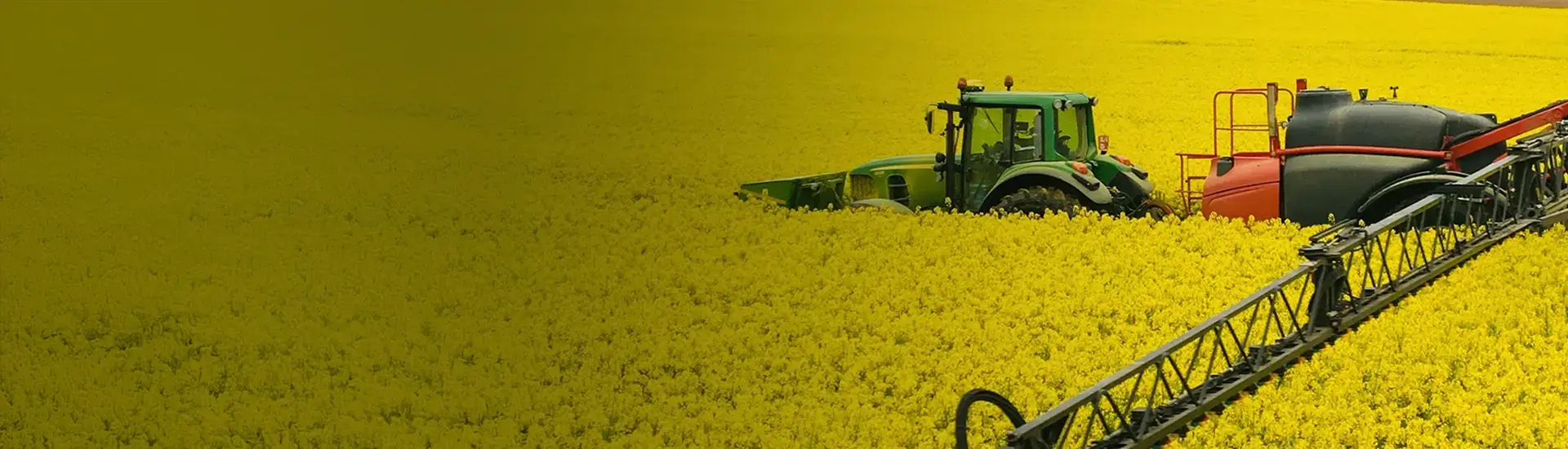 Interim Mananagement Agriculture: The picture shows a harvester harvesting a field.