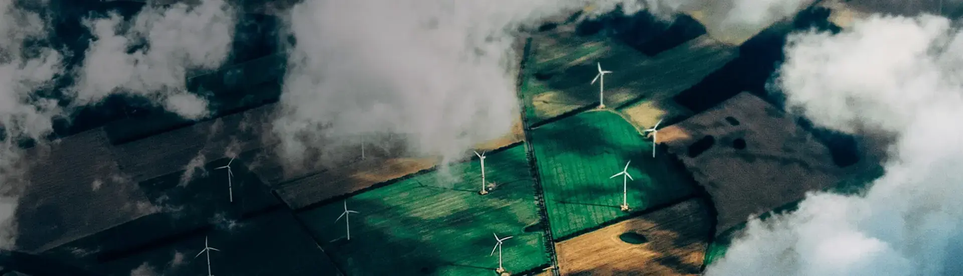 Interim Management Energy: The picture shows a field with wind turbines.