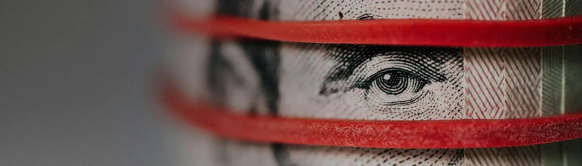 Interim Management Finance: The picture shows a dollar bill with a banderole.