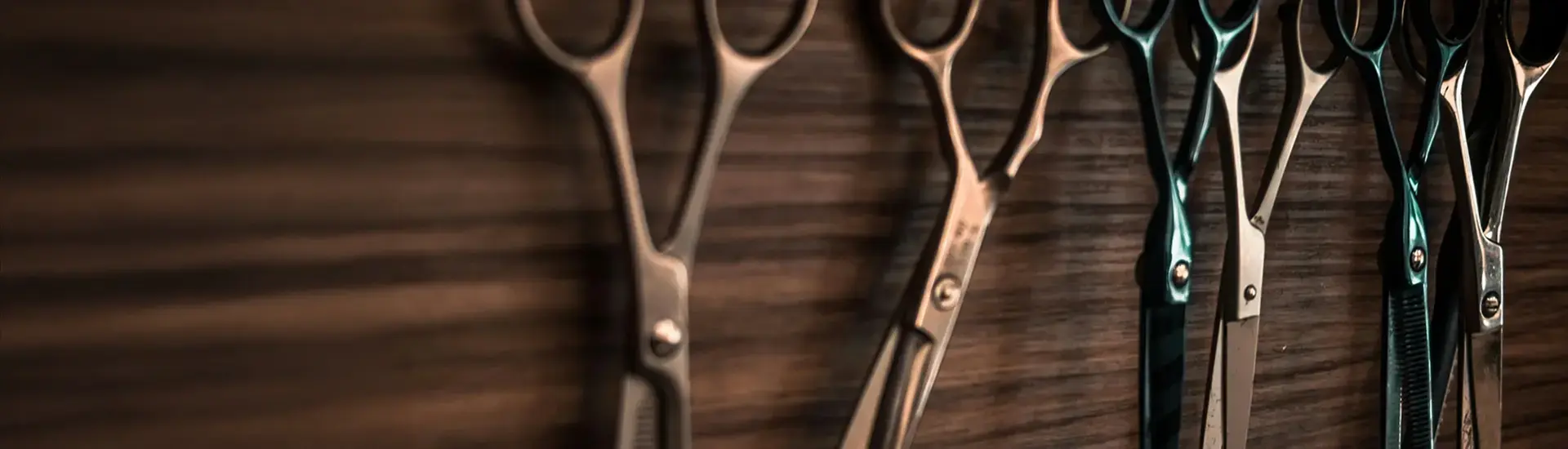 Interim Service Management: The picture shows several pairs of scissors hanging on a wooden wall shelf.