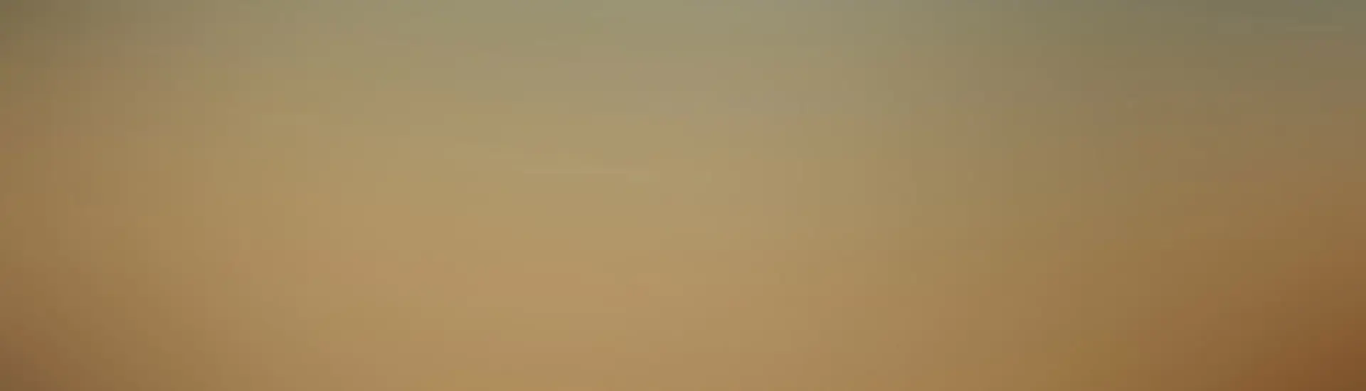 Inside Interim | Header für Managerblog der Deutschen Interim AG