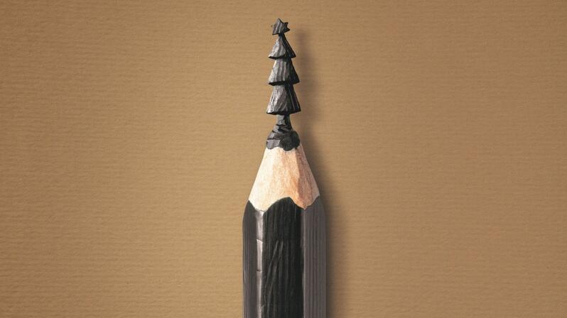 The picture shows a fir tree sharpened in a pencil lead.