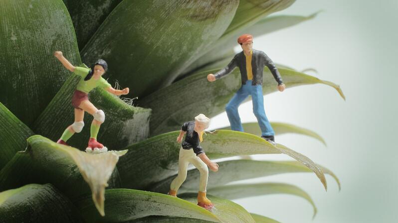 Agile project management in marketing: The picture shows figures climbing on a plant.