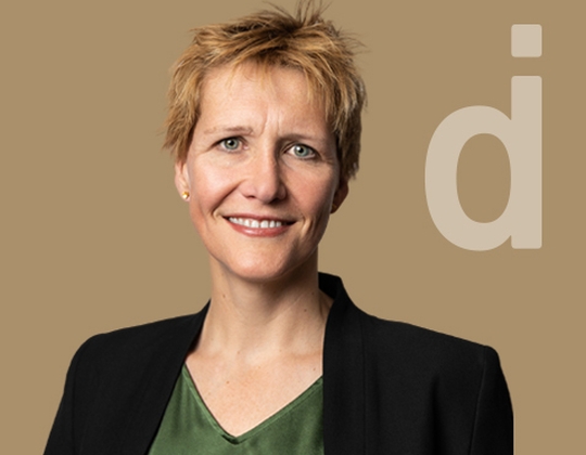 Interkulturell erfahrene HR Executive für Merger & Transformation