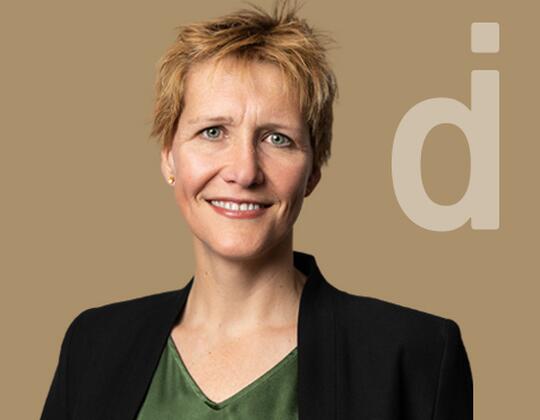Interculturally experienced HR Executive for Merger & Transformation