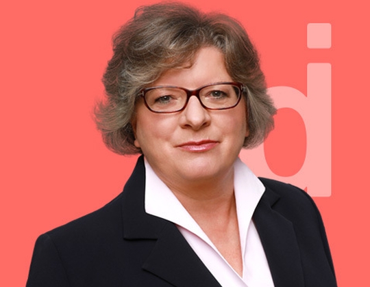 HR Executive für Strategie, Optimierung und Merger