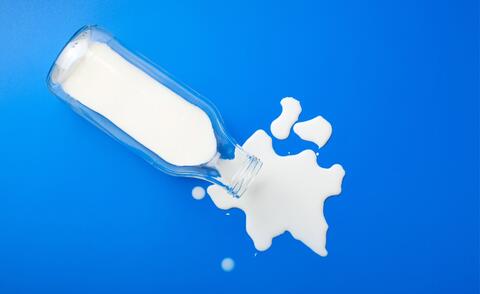 337_420_Value_creation_improved_maintenance_food_dairy_cooperative.jpg
