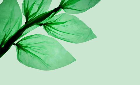 Interim CEO at a producer of bioplastics