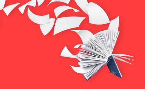 Symbolic image for outsourcing financial accounting to a Polish shared service center