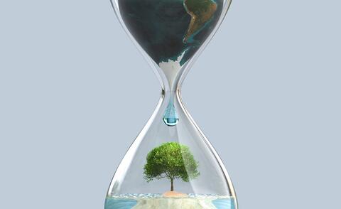 Symbolic image for sustainable climate-proof forest design in private forestry operations