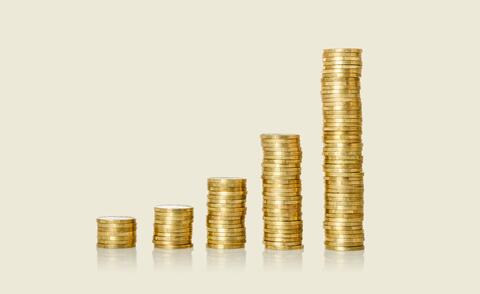 Symbolic image of a market-oriented remuneration structure in a listed company.