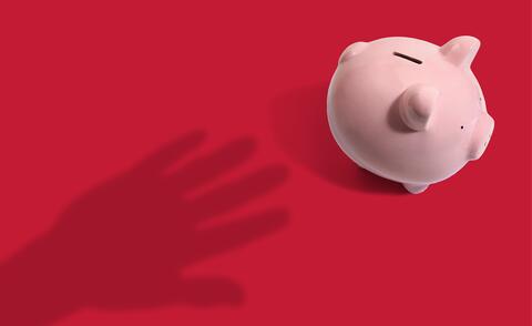 Symbolic image for fraud management: Fraud case in a retail bank