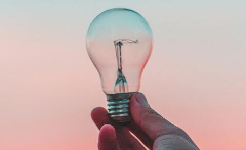 Interim Management Operations: The picture shows a light bulb at sunrise.