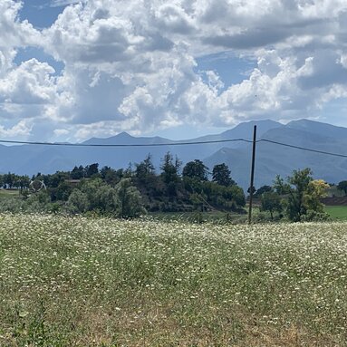 Aussicht