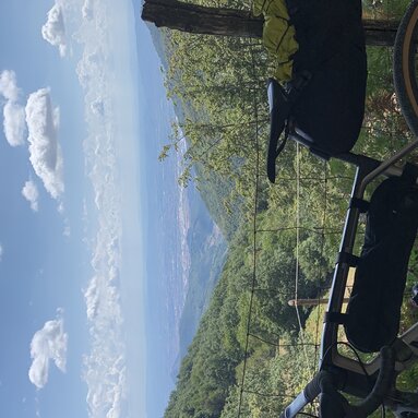Ausblick
