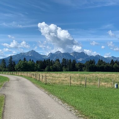 Die Alpen im Blick
