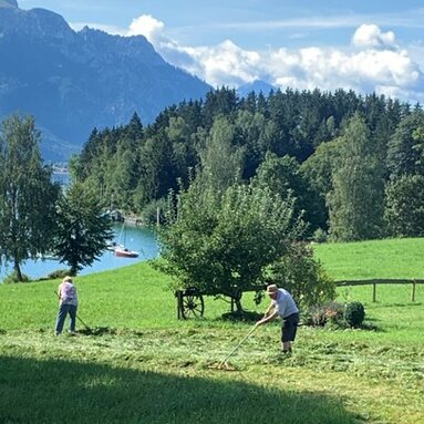 Menschen beim Heuen
