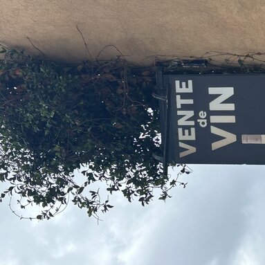 Vente de Vin - hier dreht sich alles um den Weinverkauf
